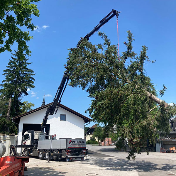 Kellerer-Baumtransport